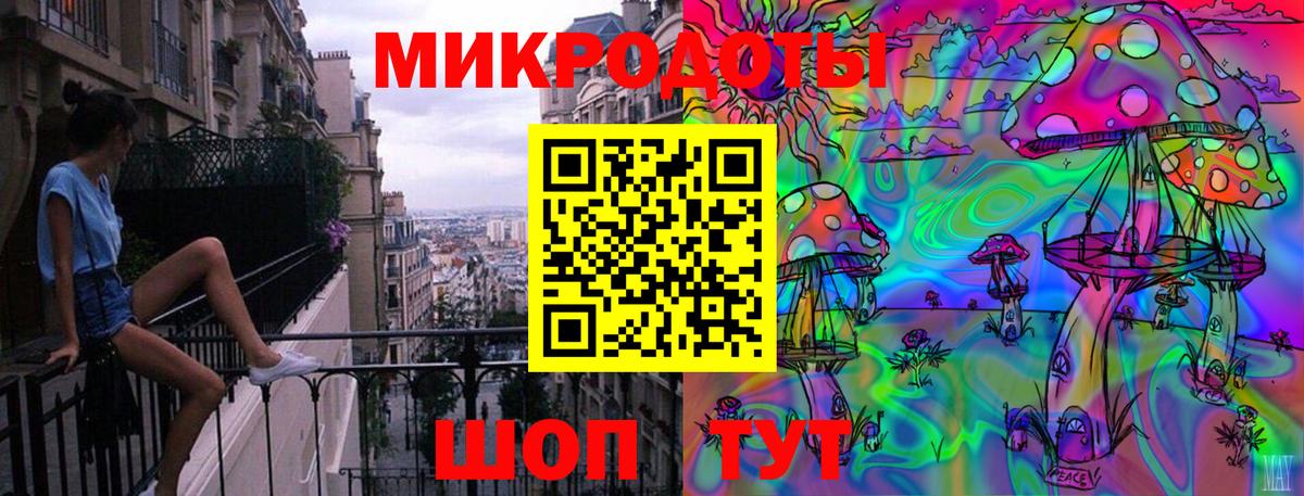 Галлюциногенные грибы Psilocybine cubensis Сыктывкар