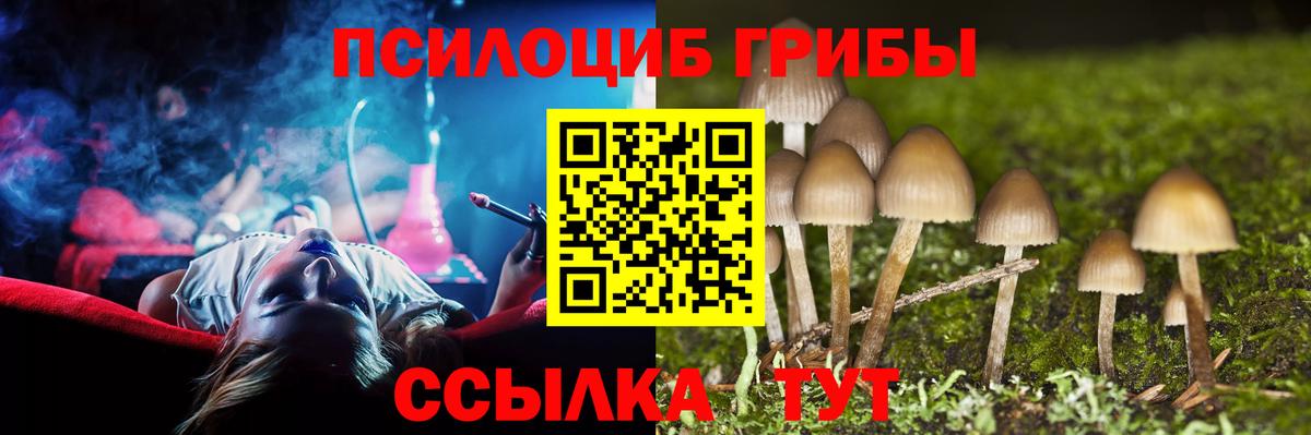 Псилоцибиновые грибы MAGIC MUSHROOMS  Вход с VPN  цена   Сыктывкар 